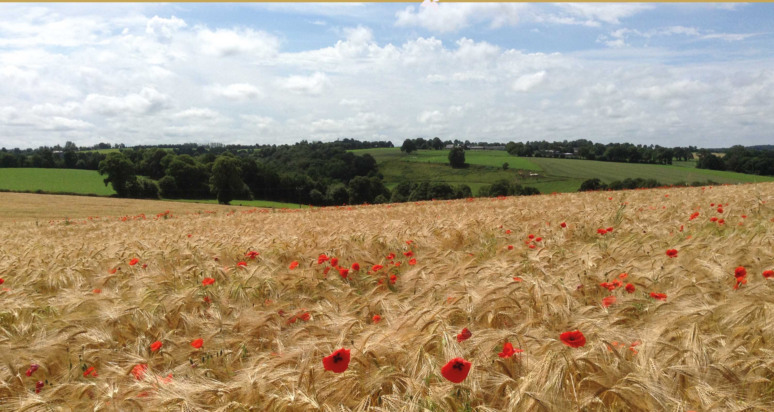 countryside holiday cottages in Normandy France